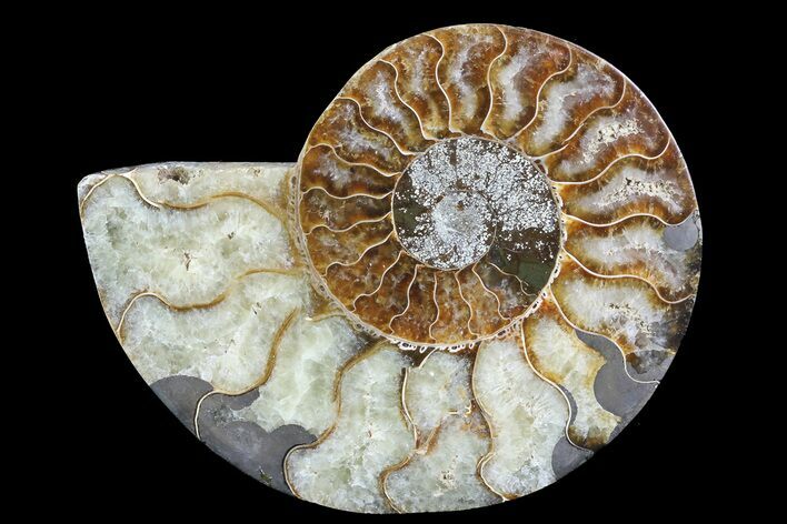 Agatized Ammonite Fossil (Half) - Madagascar #83798